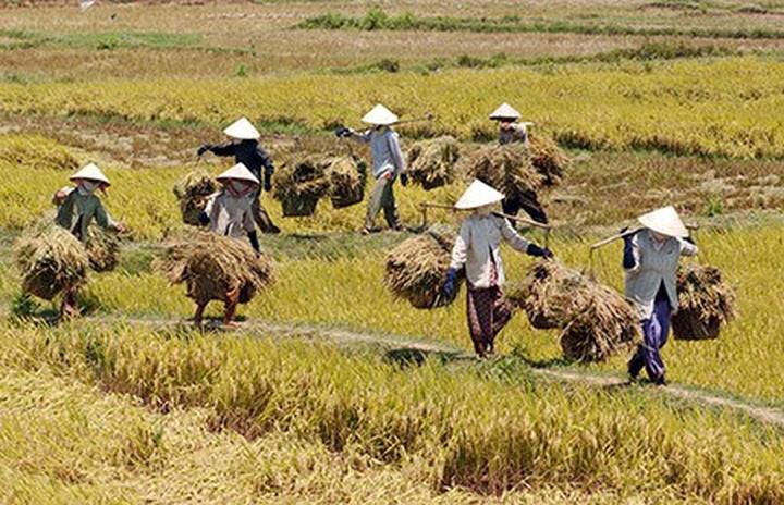 Vượt Lên Số Phận: Câu Chuyện Cảm Hứng Của Chàng Trai Khuyết Tật Và Hotspot Matrix