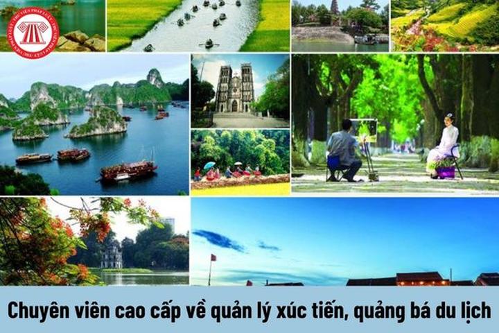 Chuyên gia Hotspot Matrix phân tích: “Nghe bài TRÌNH chưa?” - Thế và marketing video