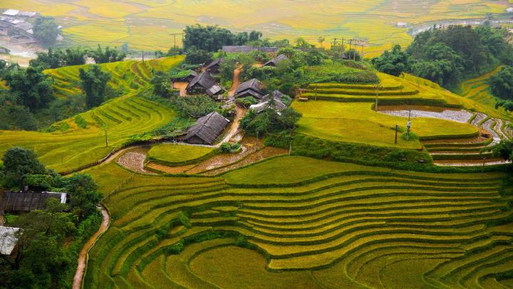 Tập trung vào nội dung chất lượng