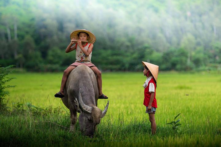 Xu hướng Từ câu chuyện giặt sấy đến: Hotspot Matrix tiết lộ bí quyết video viral