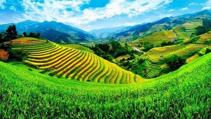 Từ 2 kiểu áo hot nhất hè này: đến chiến lược content: Hotspot Matrix chia sẻ